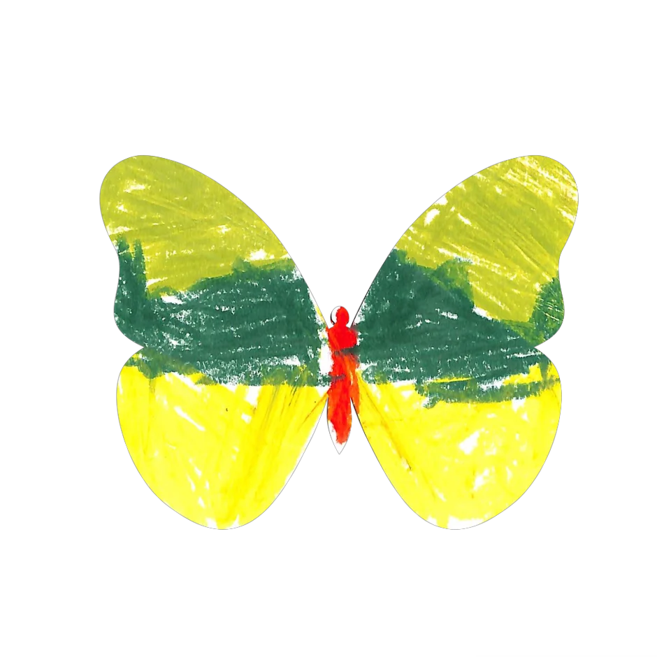 Original Butterfly Image