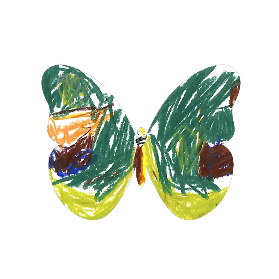 Original Butterfly Image