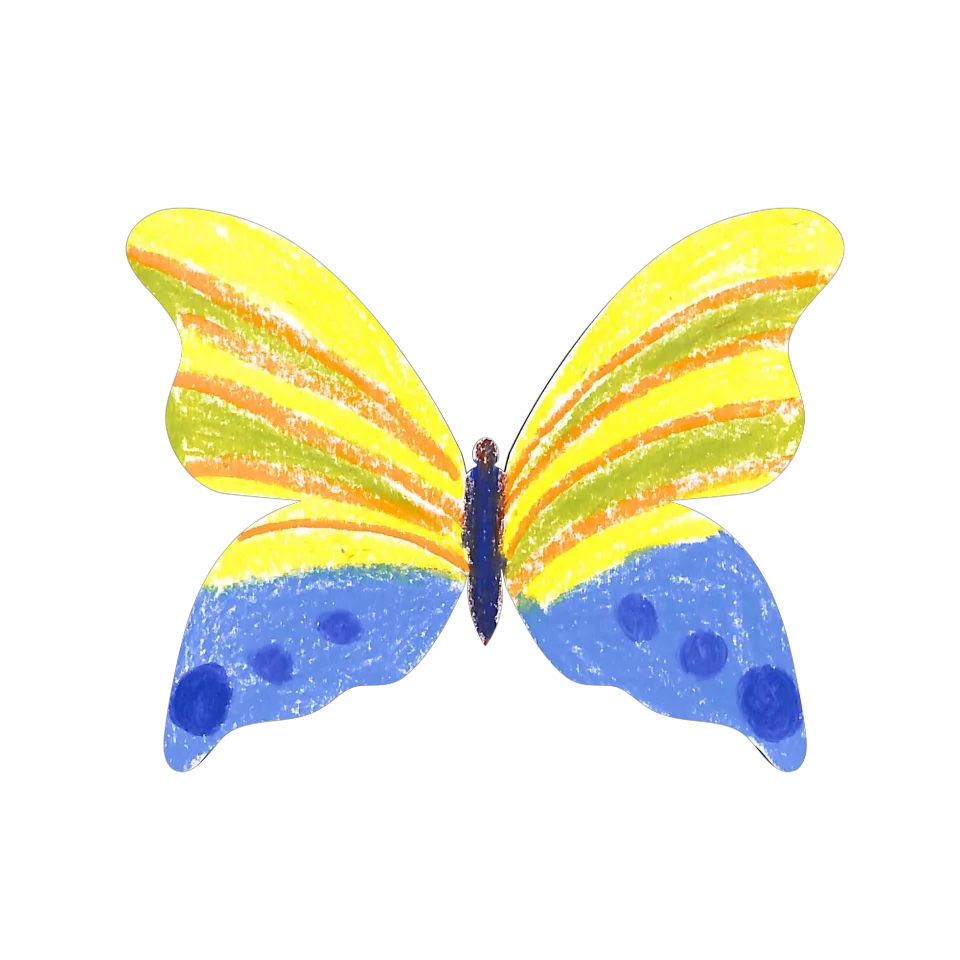 Original Butterfly Image
