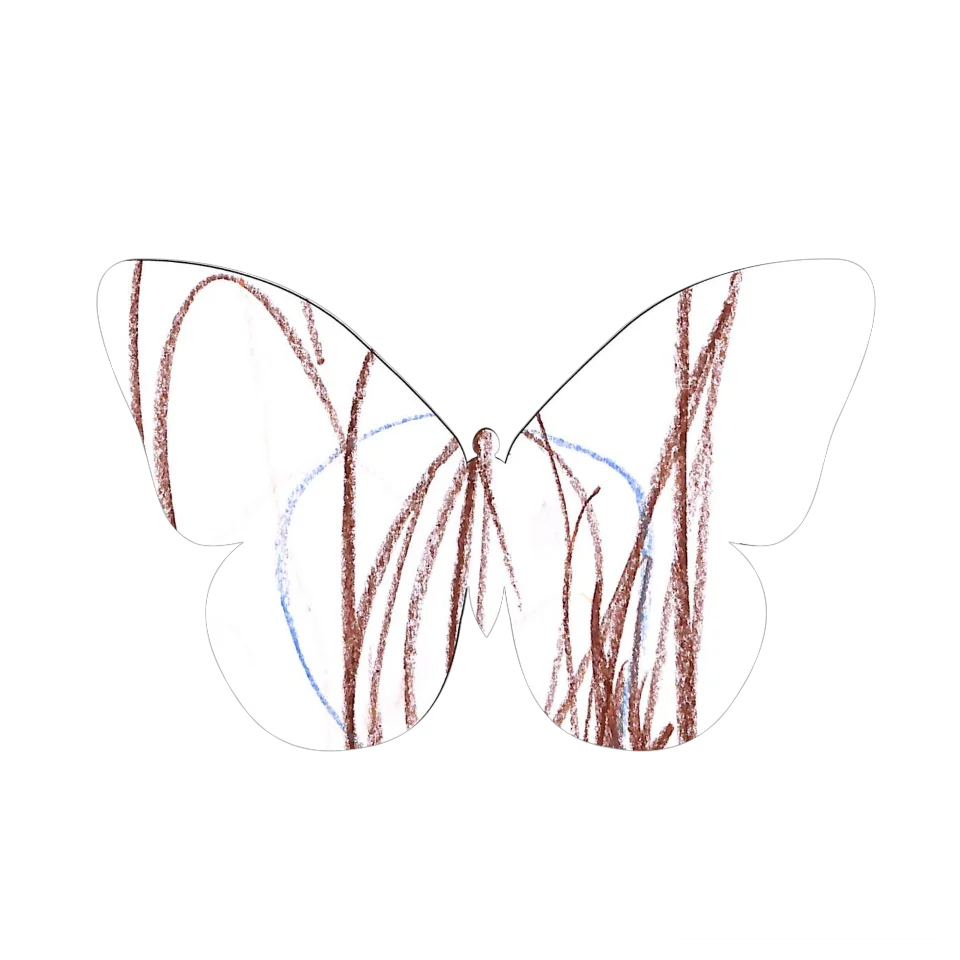 Original Butterfly Image