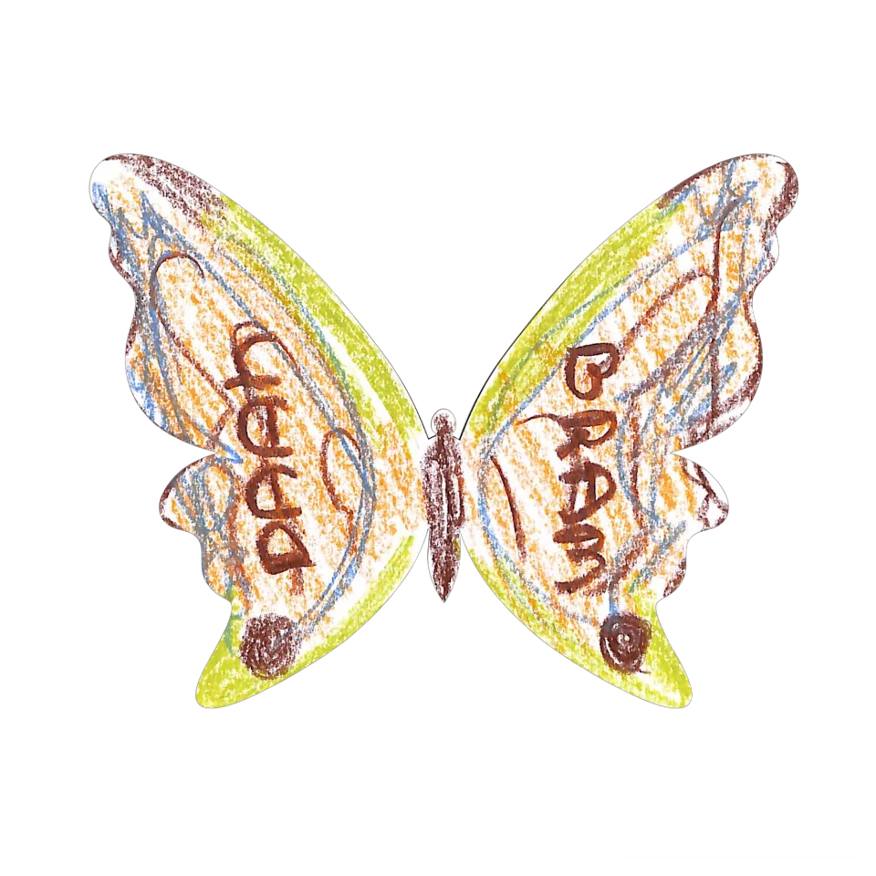 Original Butterfly Image