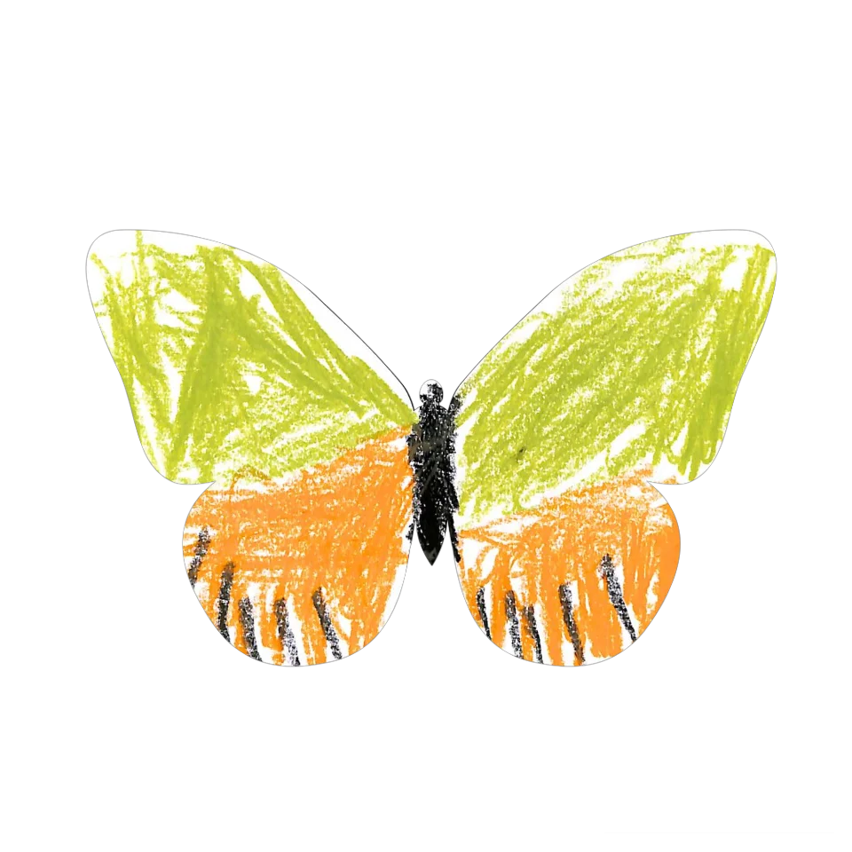 Original Butterfly Image