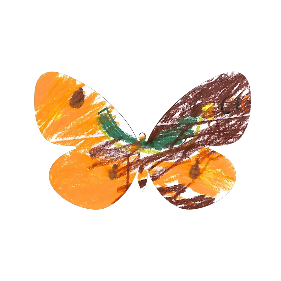 Original Butterfly Image