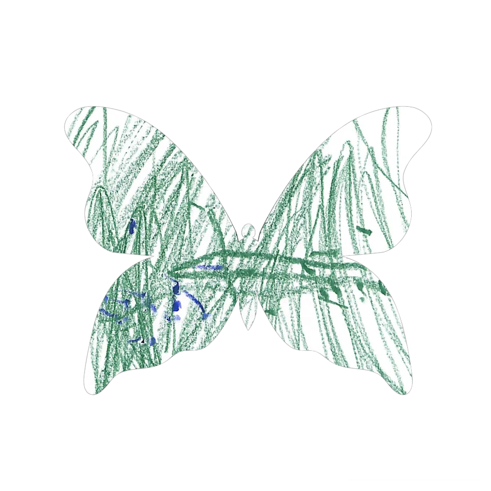 Original Butterfly Image