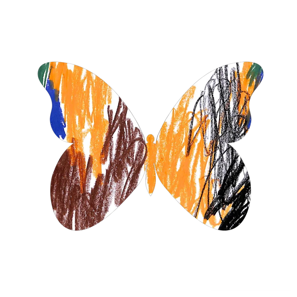 Original Butterfly Image