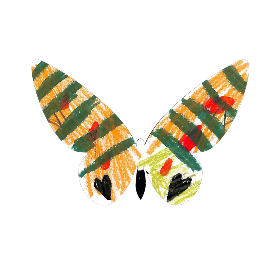 Original Butterfly Image