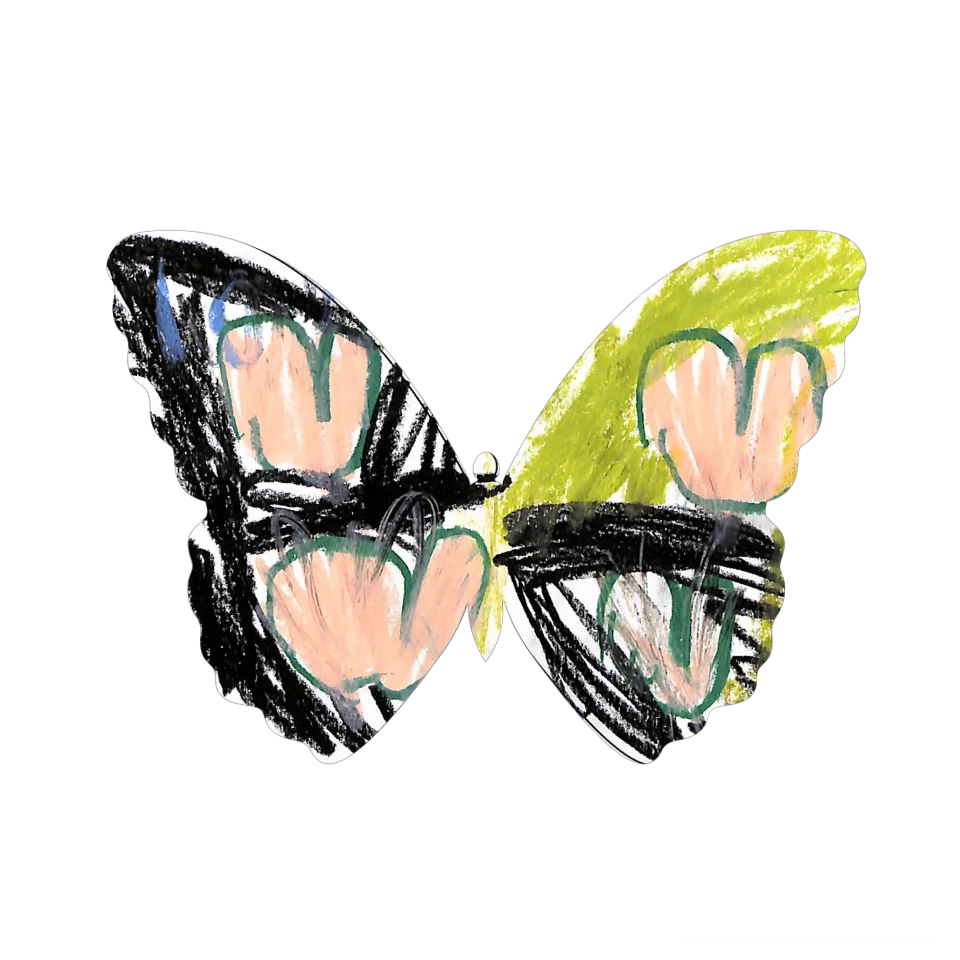 Original Butterfly Image
