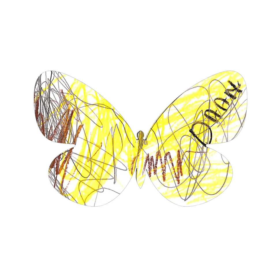 Original Butterfly Image