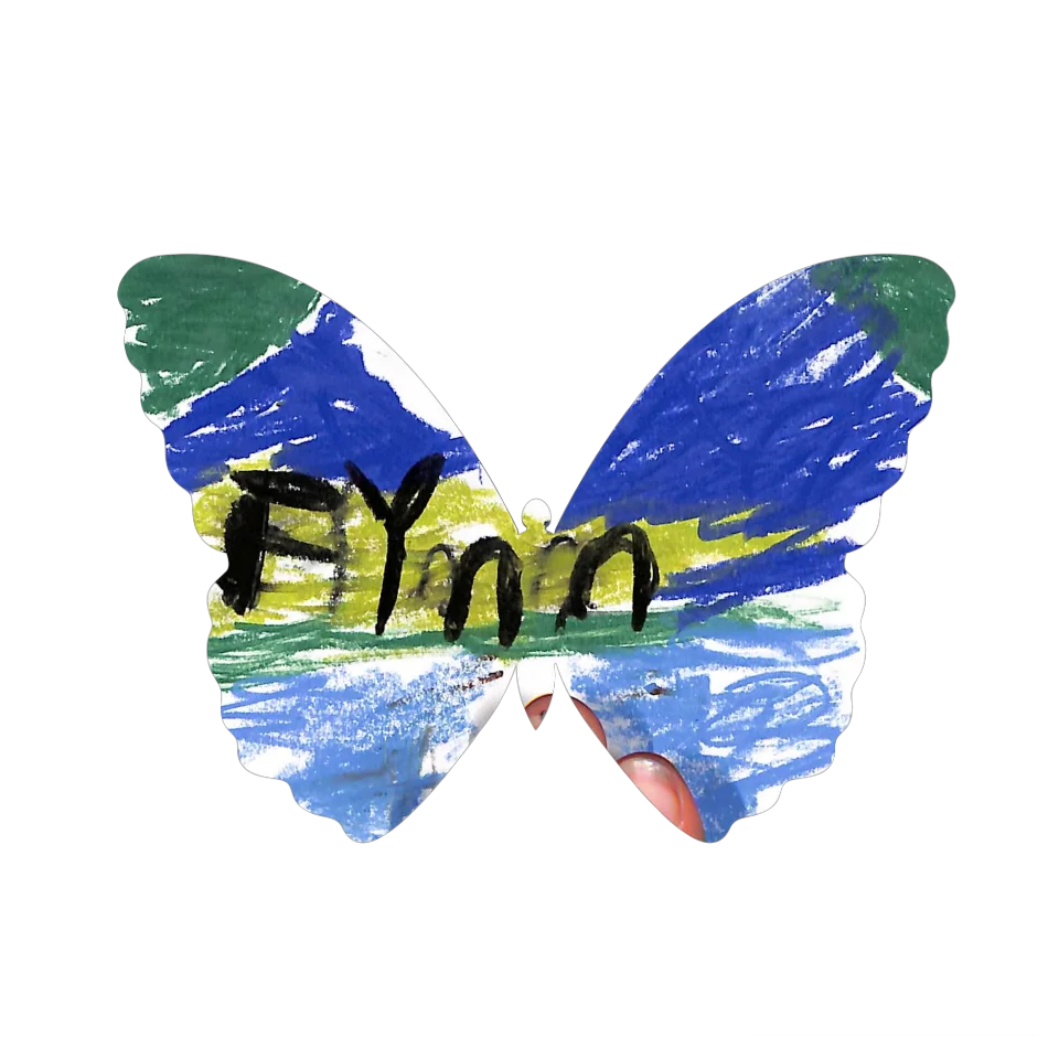 Original Butterfly Image