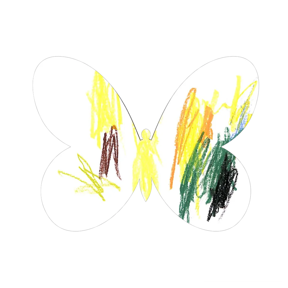 Original Butterfly Image