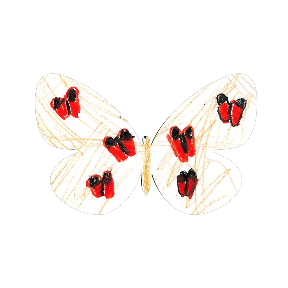 Original Butterfly Image