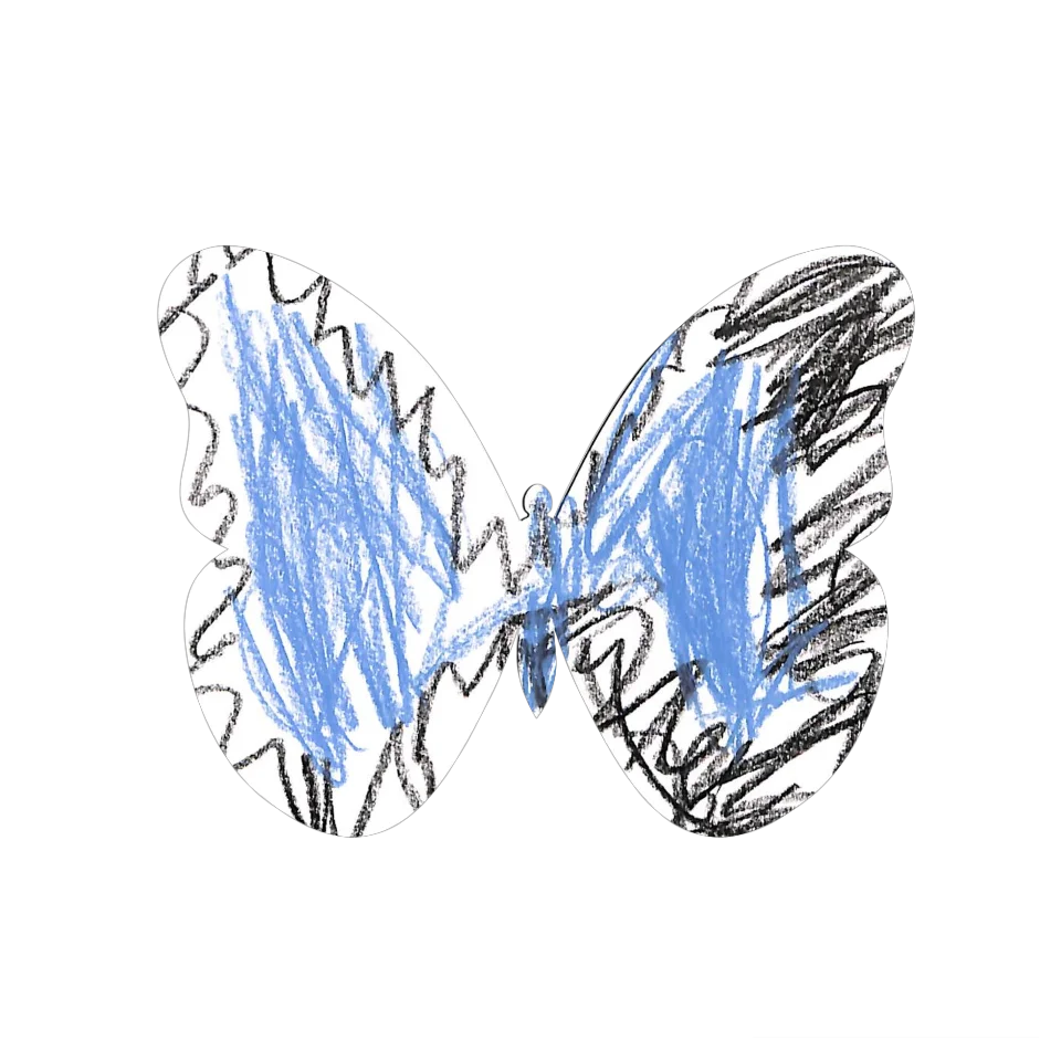 Original Butterfly Image