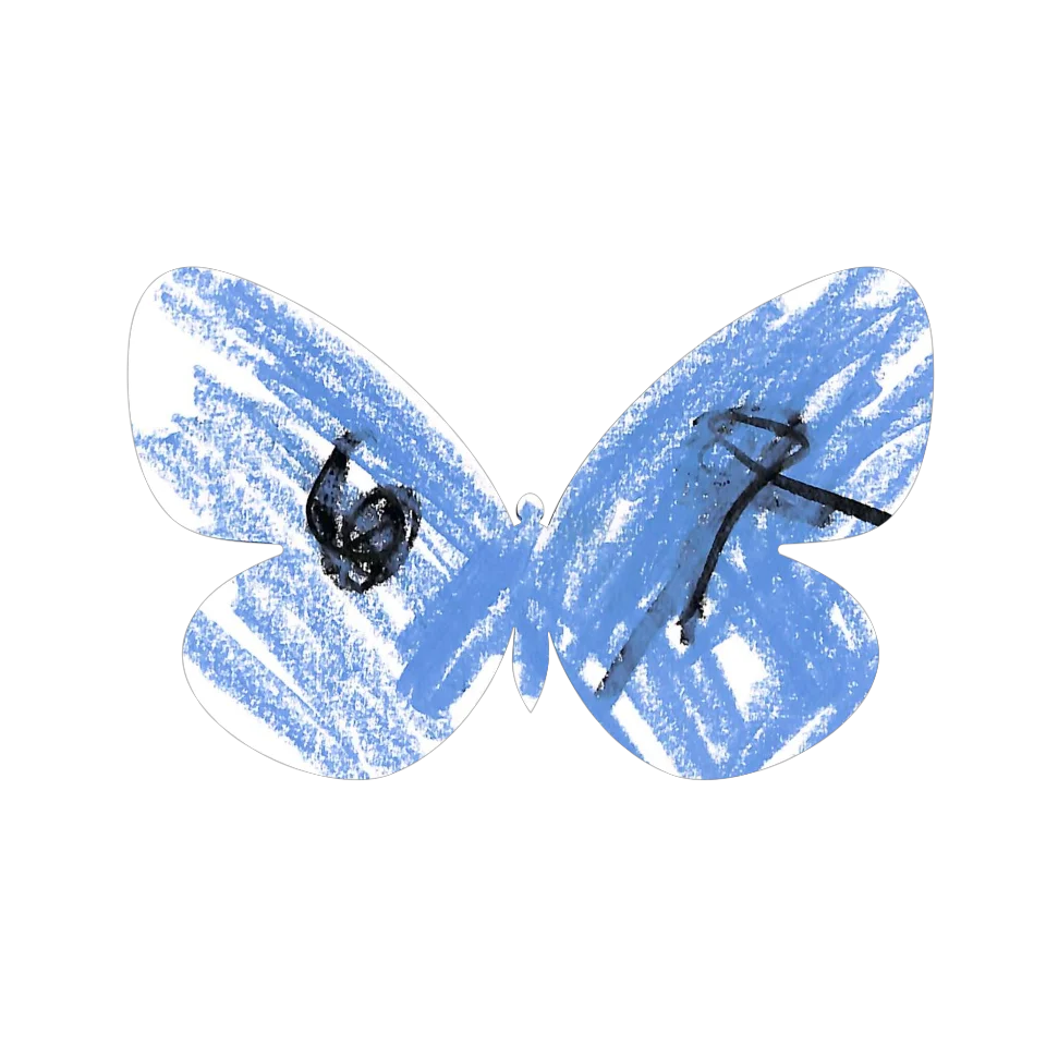 Original Butterfly Image