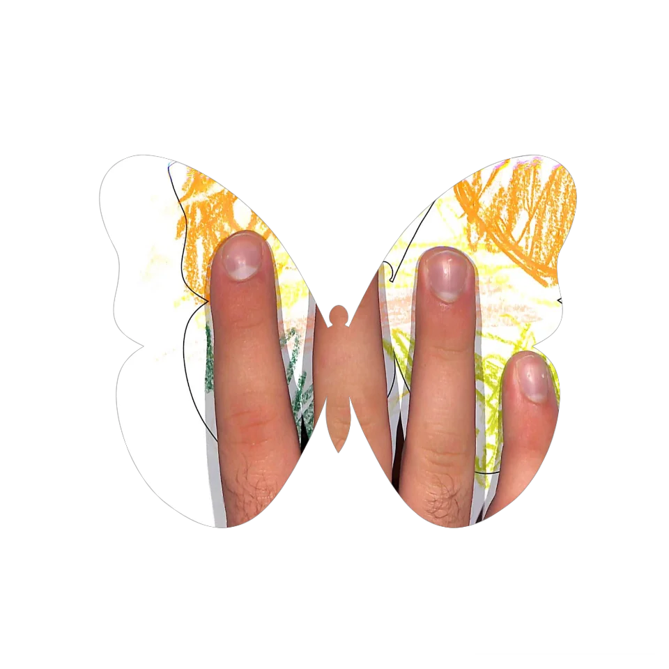 Original Butterfly Image