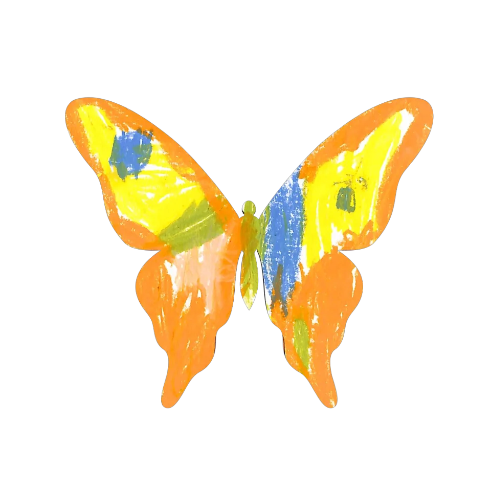Original Butterfly Image