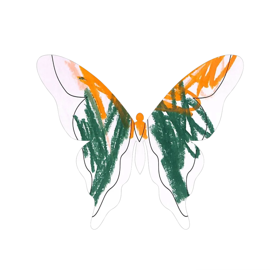 Original Butterfly Image