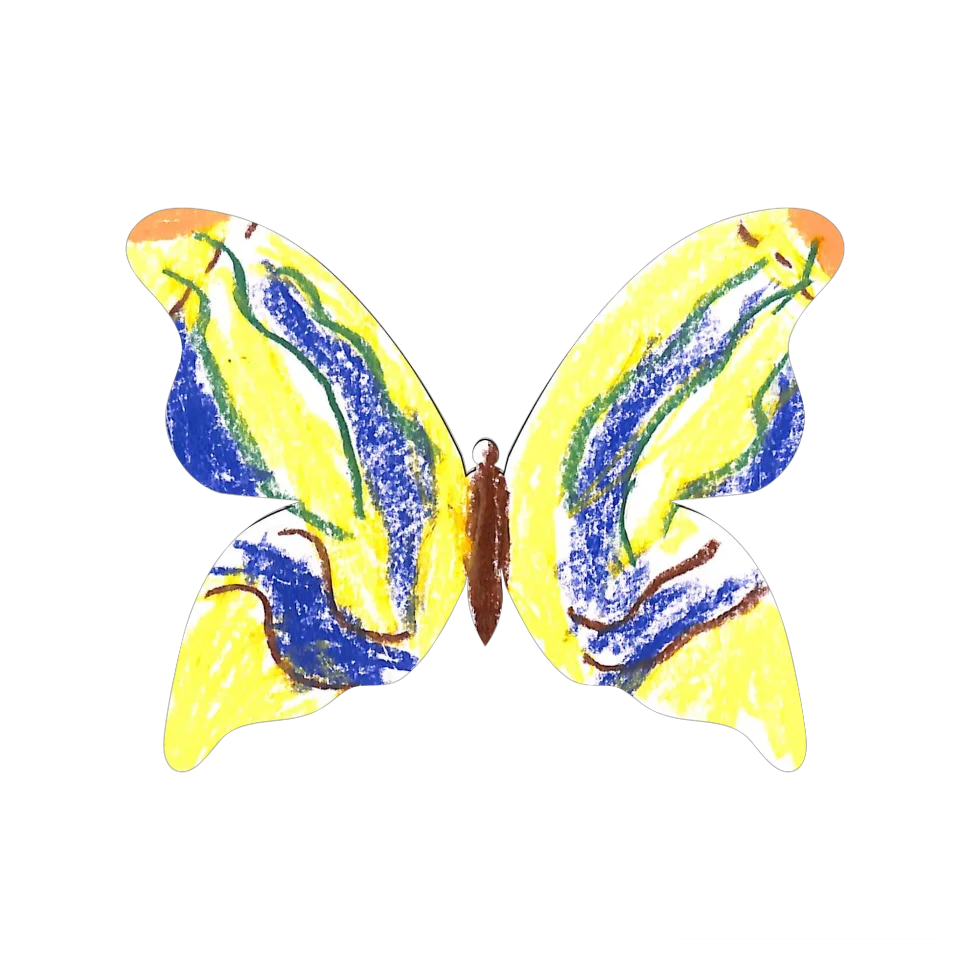 Original Butterfly Image