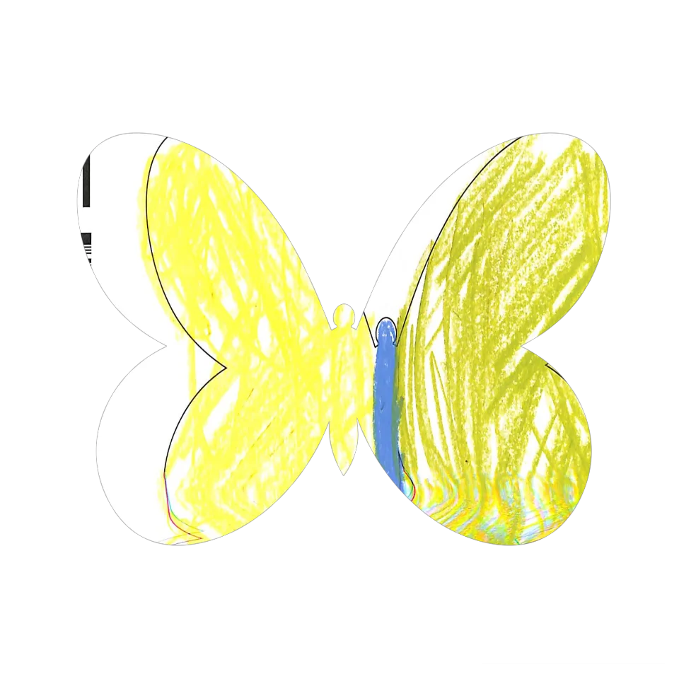 Original Butterfly Image
