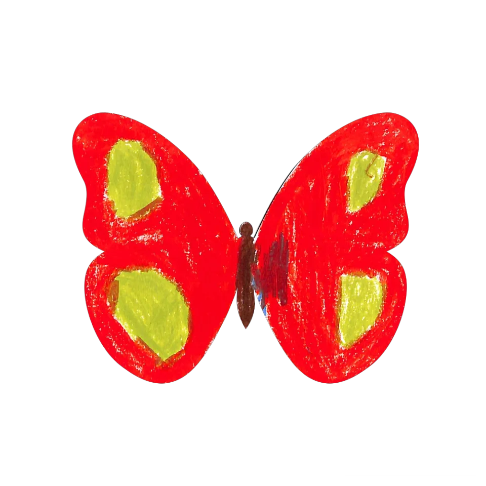 Original Butterfly Image