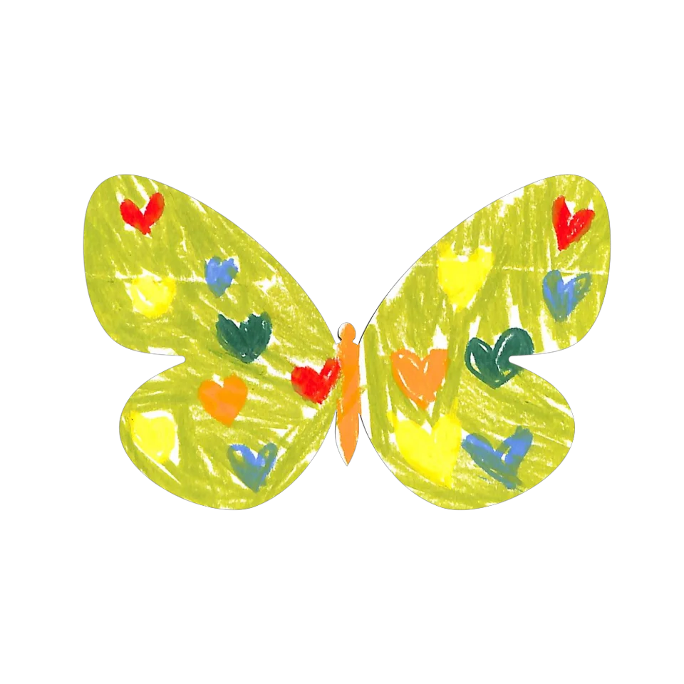 Original Butterfly Image