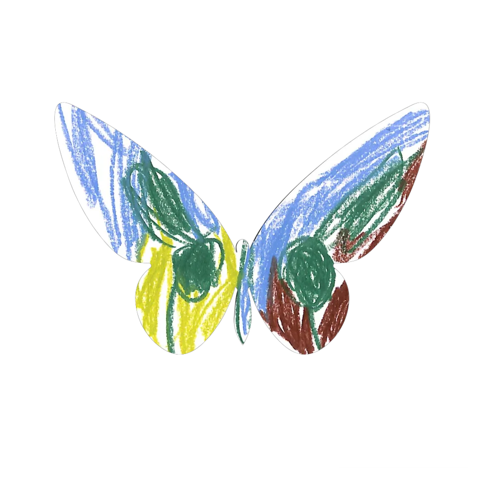 Original Butterfly Image