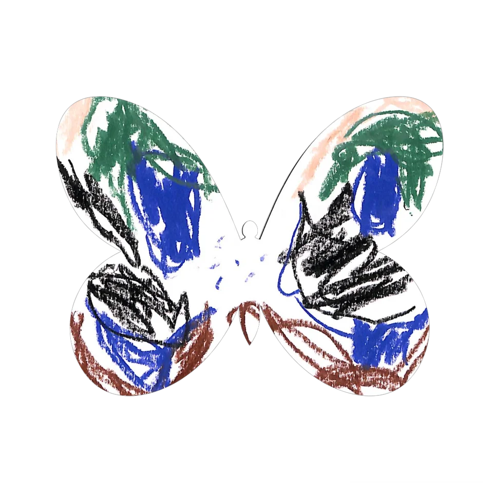 Original Butterfly Image