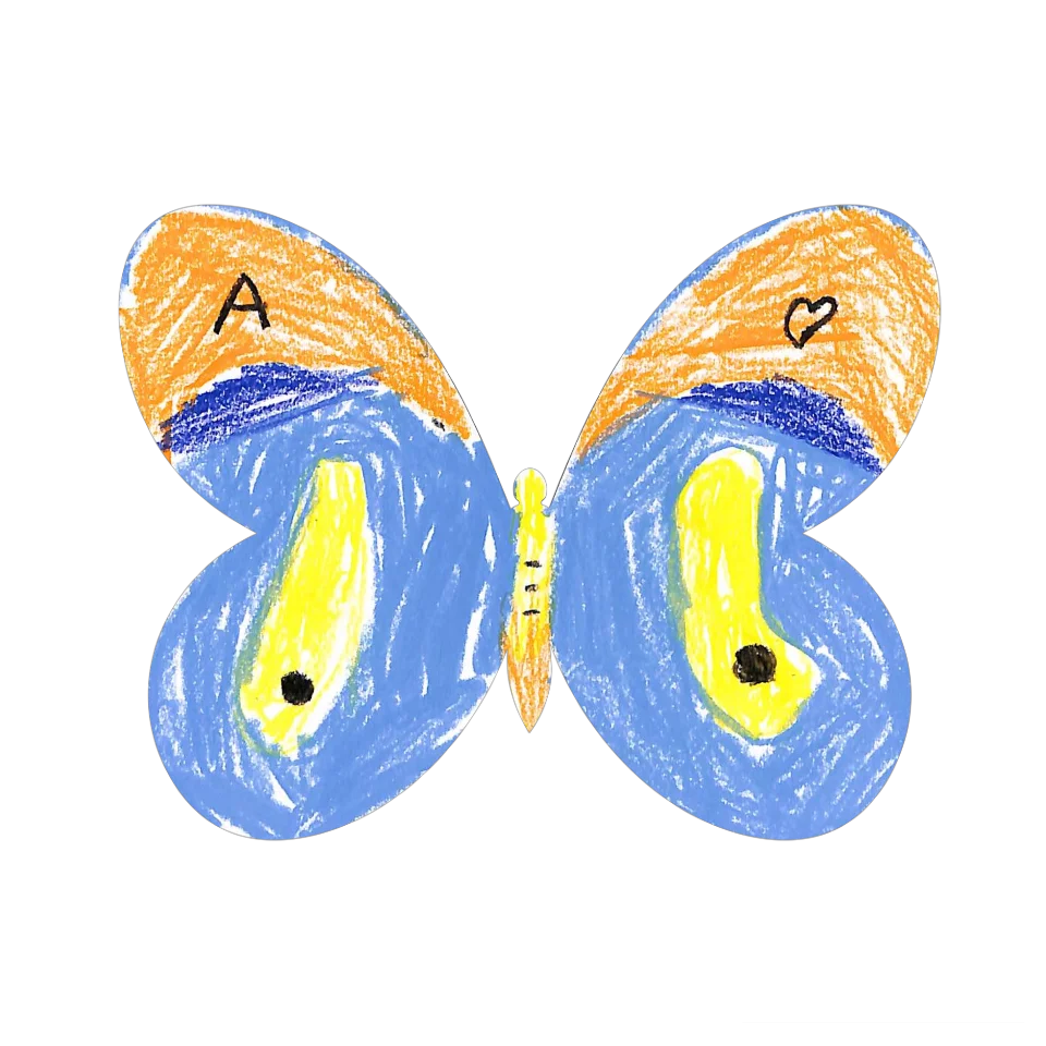 Original Butterfly Image