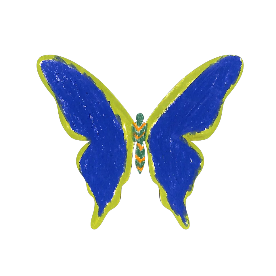 Original Butterfly Image