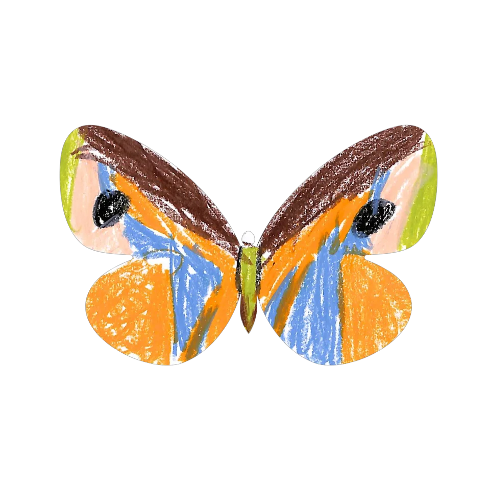 Original Butterfly Image