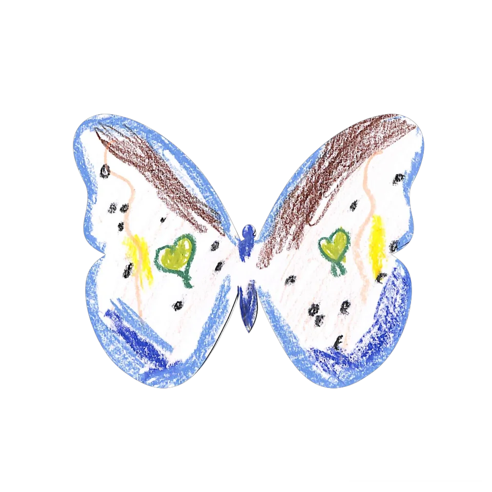 Original Butterfly Image