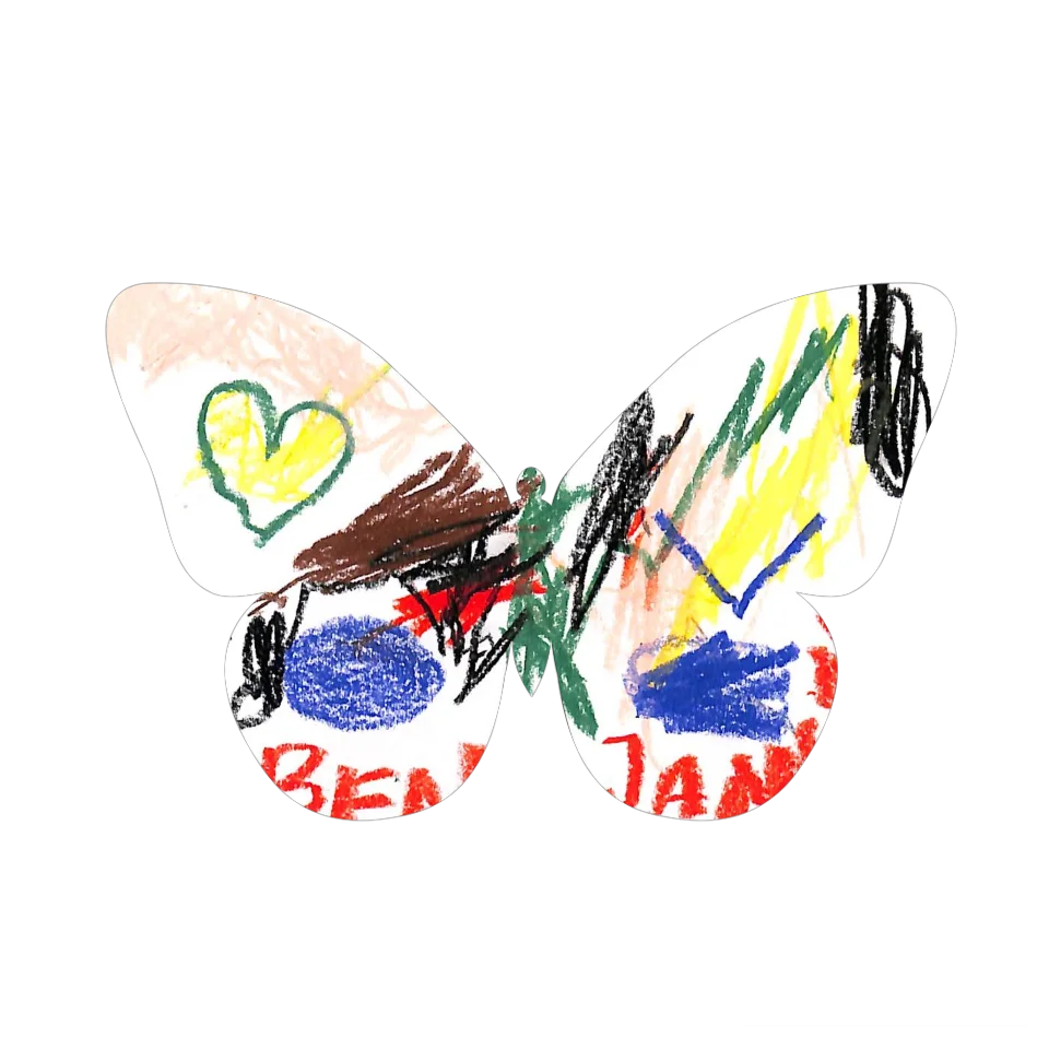 Original Butterfly Image