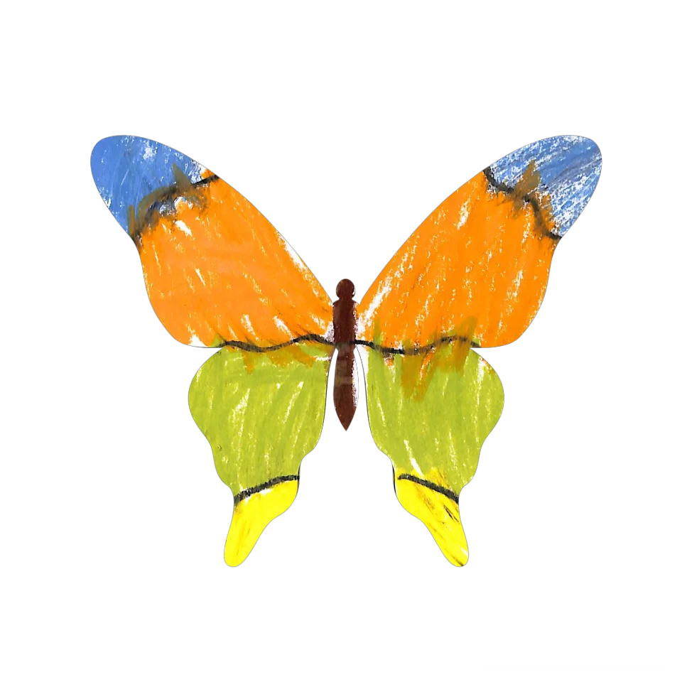Original Butterfly Image