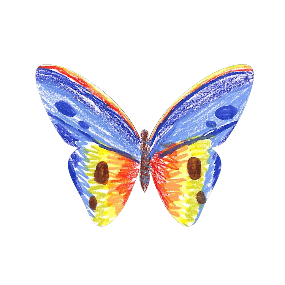 Original Butterfly Image