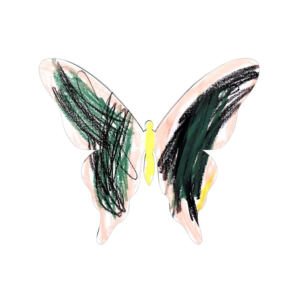 Original Butterfly Image
