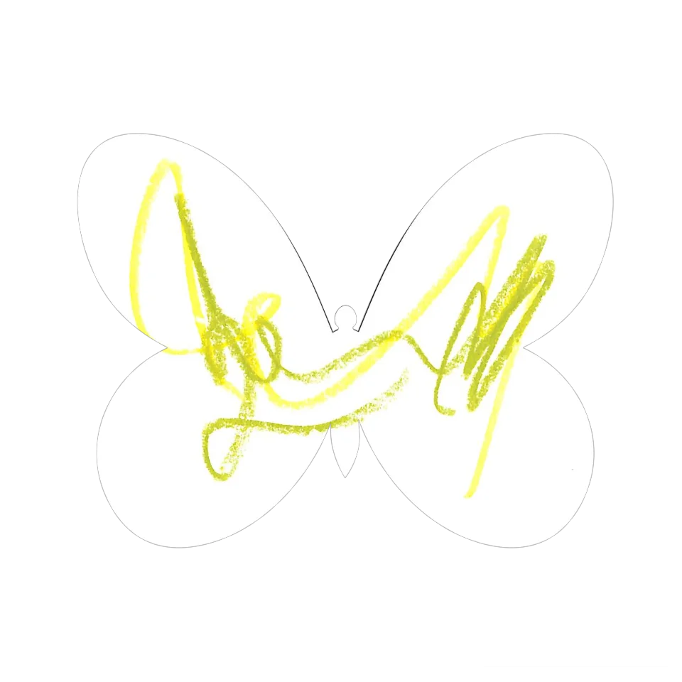 Original Butterfly Image