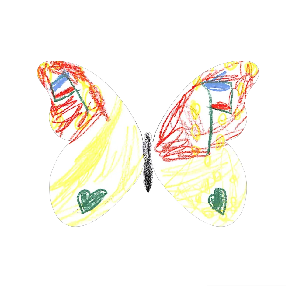 Original Butterfly Image