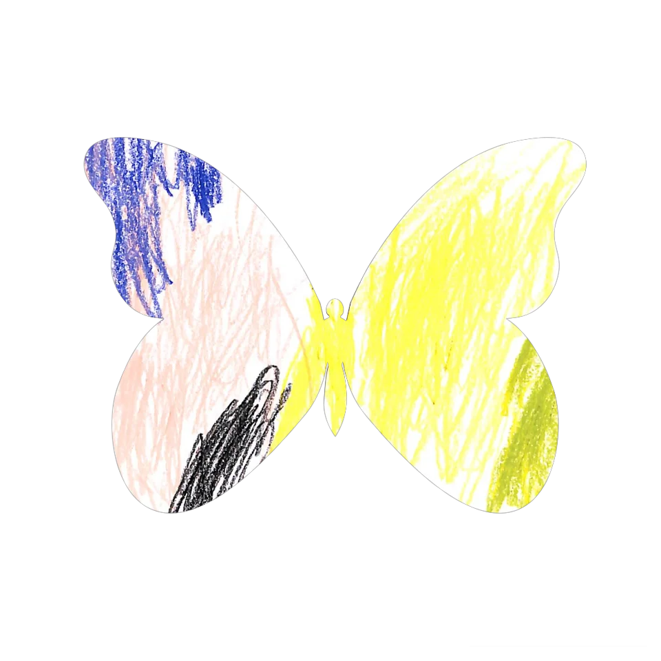 Original Butterfly Image