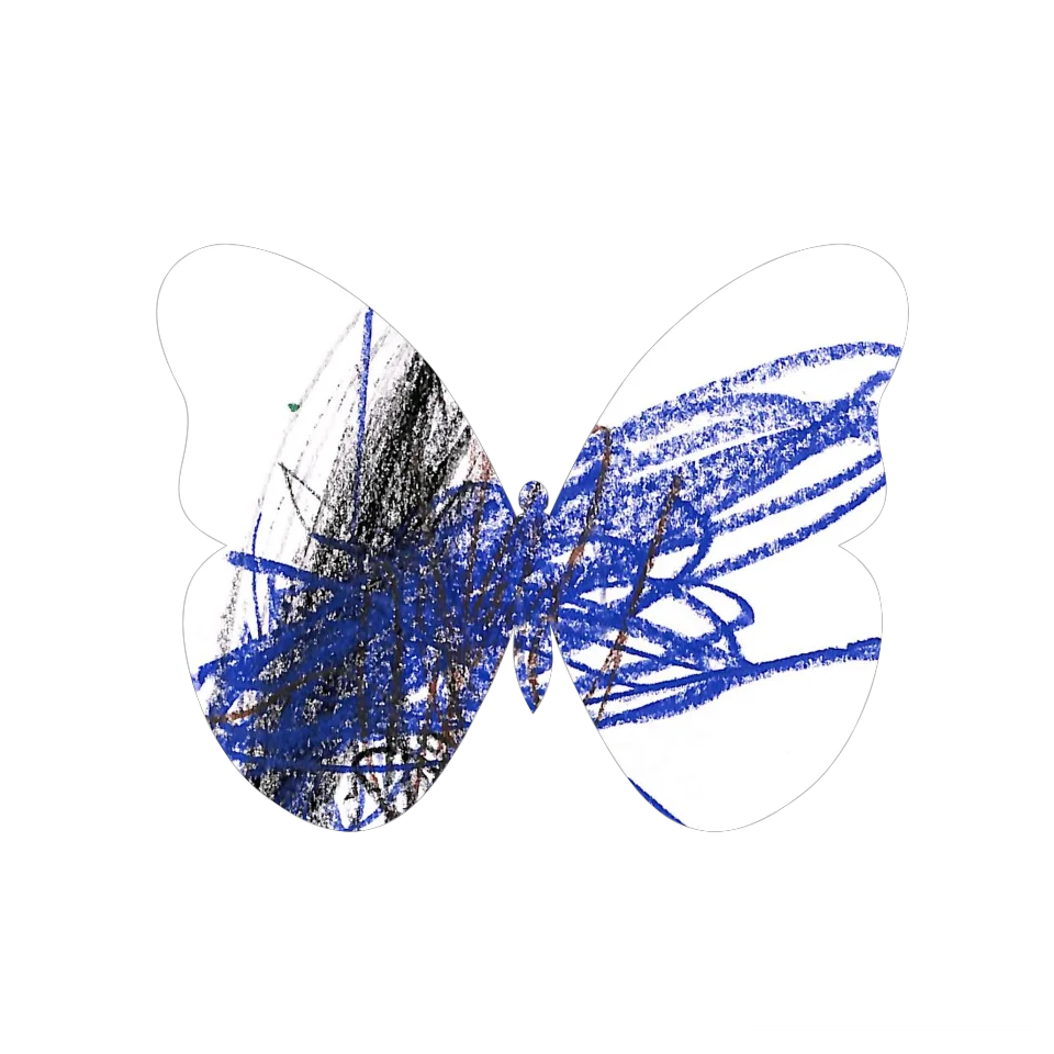 Original Butterfly Image