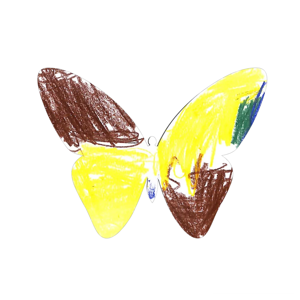 Original Butterfly Image