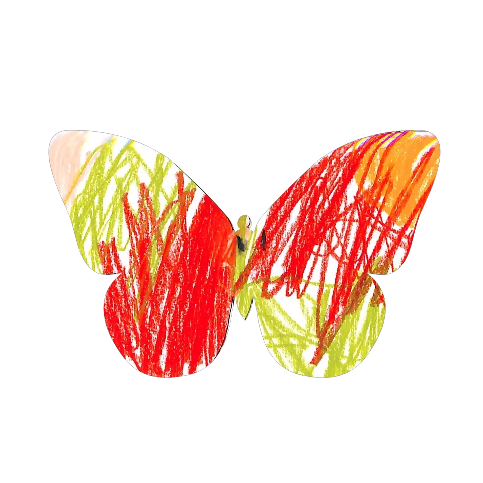 Original Butterfly Image