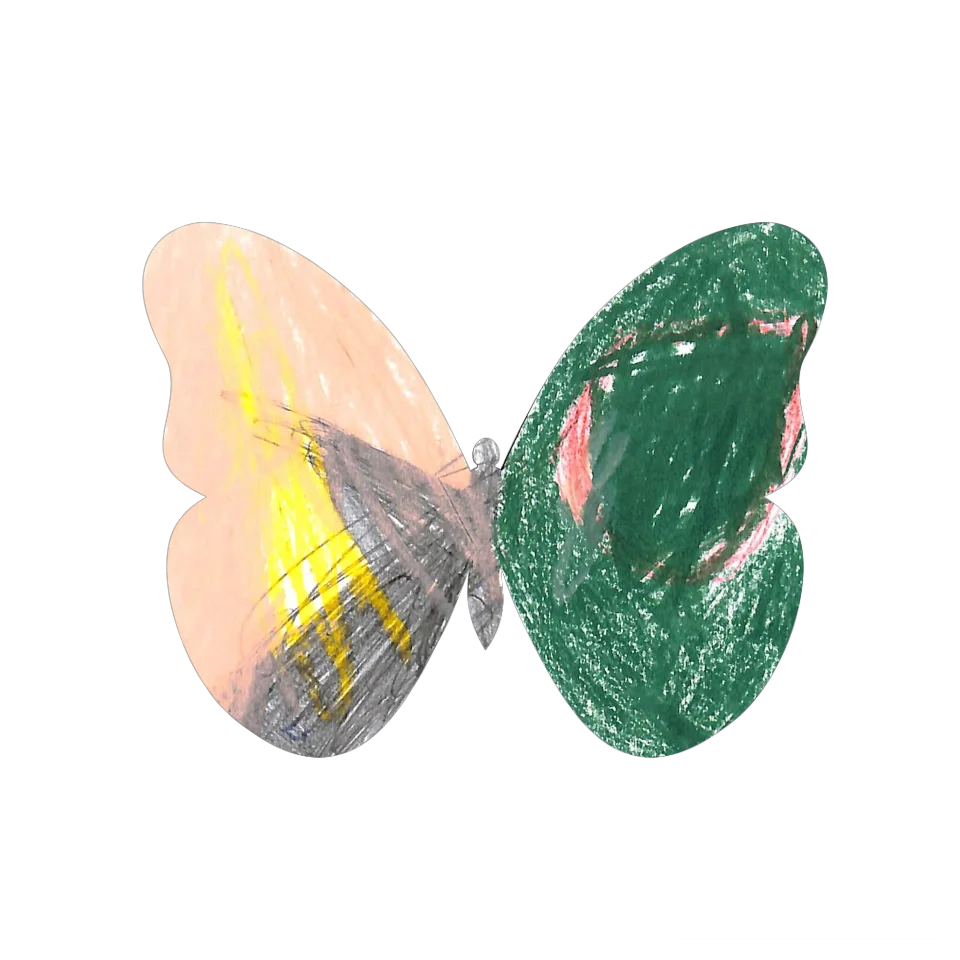 Original Butterfly Image