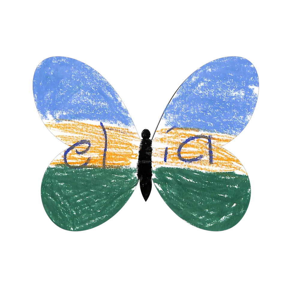 Original Butterfly Image