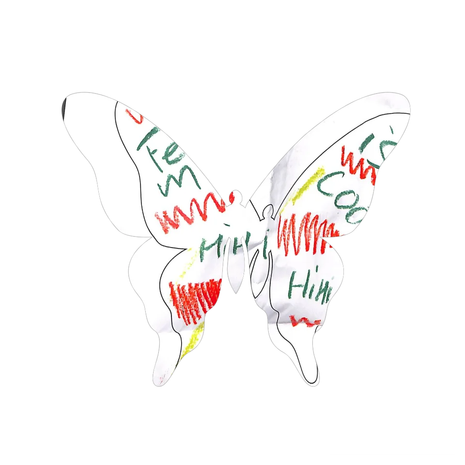 Original Butterfly Image