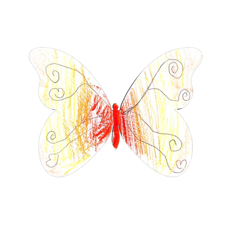 Original Butterfly Image