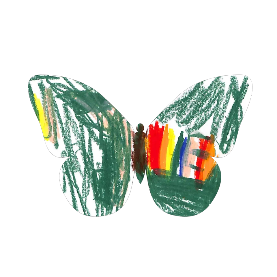 Original Butterfly Image