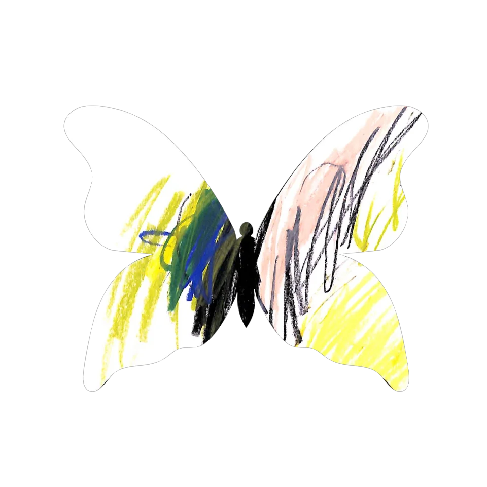 Original Butterfly Image