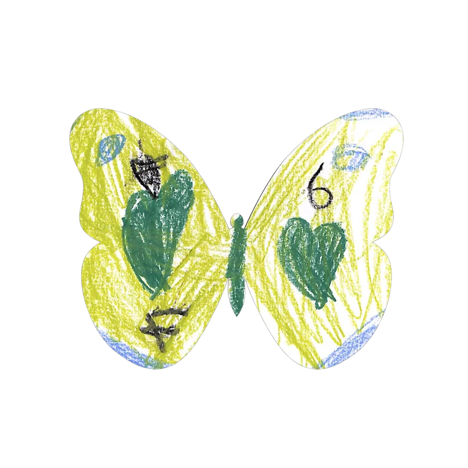 Original Butterfly Image