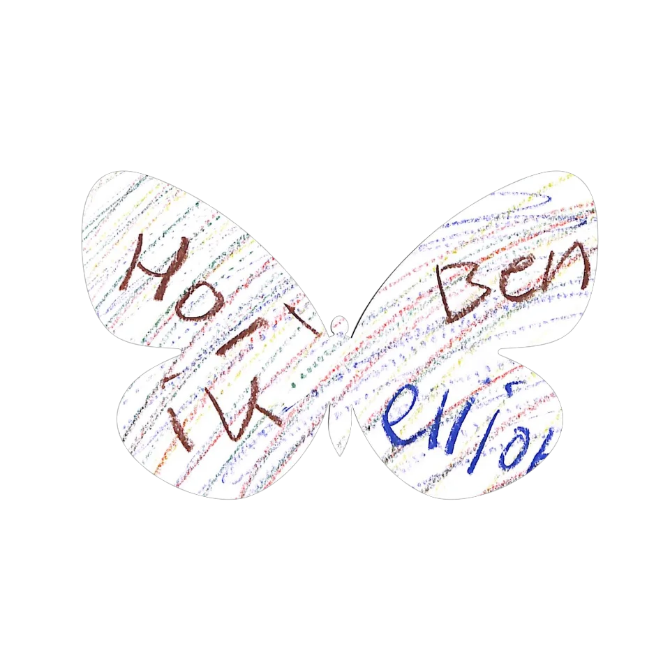 Original Butterfly Image
