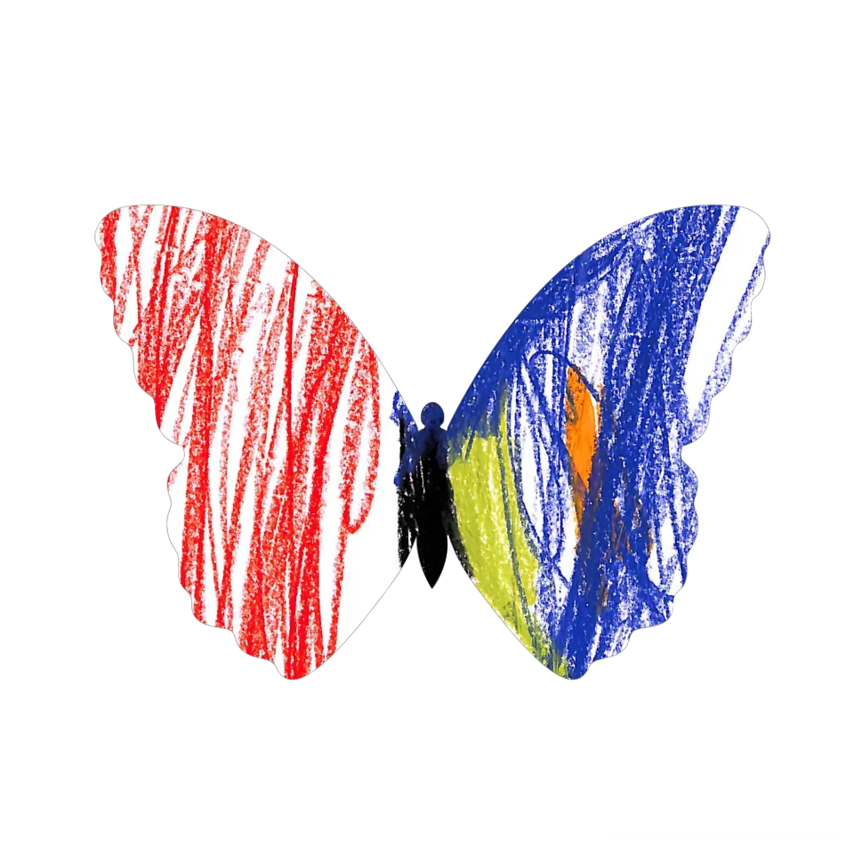 Original Butterfly Image