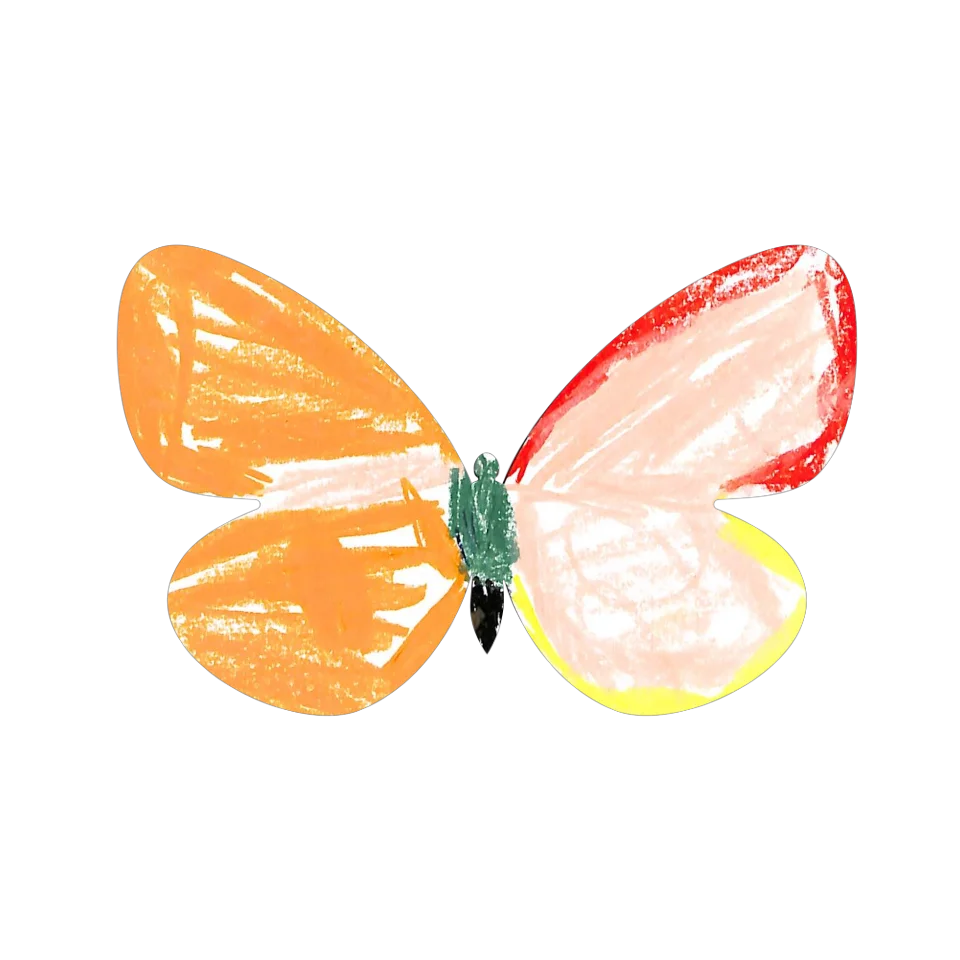 Original Butterfly Image
